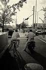 dailyPhoto26